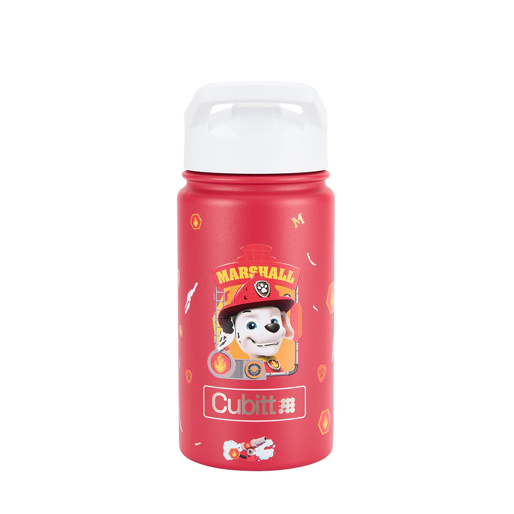 Termo Jr. x Paw Patrol - Image 6